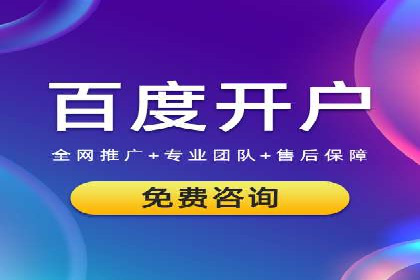 SEM运营公司经典案例点评
